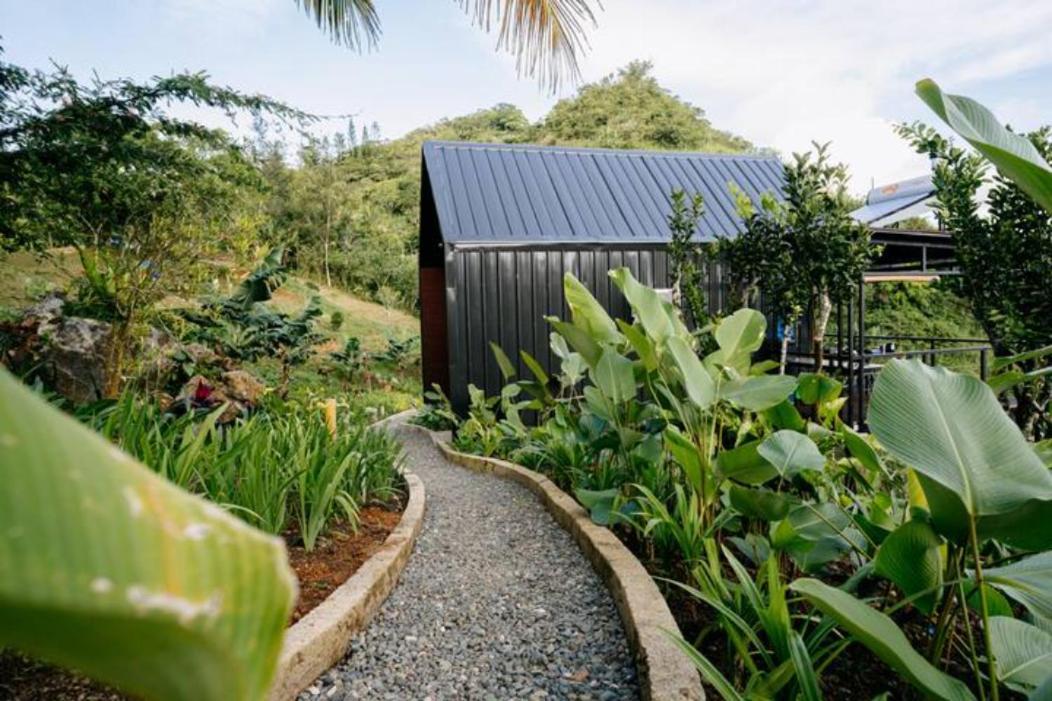 Grey Rock Mountain Cabin W/ Jacuzzi Balamban Extérieur photo